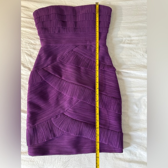 BCBG MaxAzria Jorie Dark Orchid Tulle Tiered Sheath Dress Size 0 - Picture 13 of 14